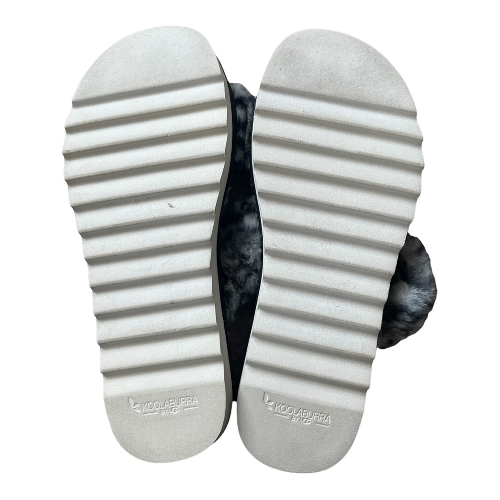 Kookaburra slides - Picture 5 of 5